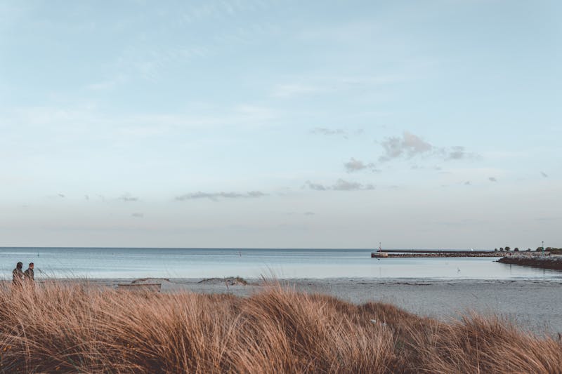 Oplev Limfjordens skjulte stendigskorridorer
